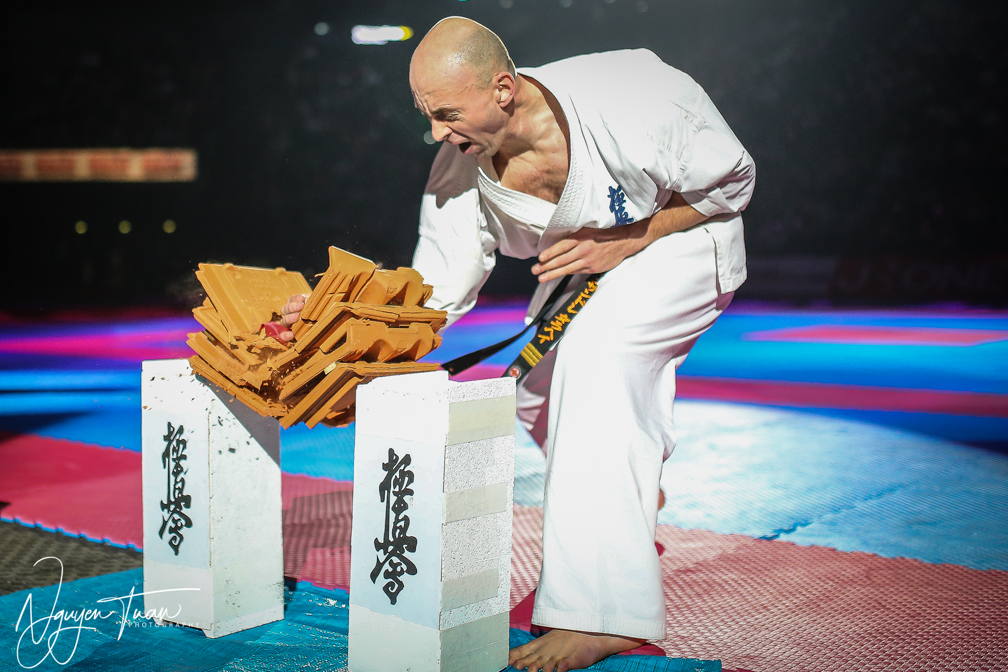 20190324 Festival des Arts Martiaux 5885